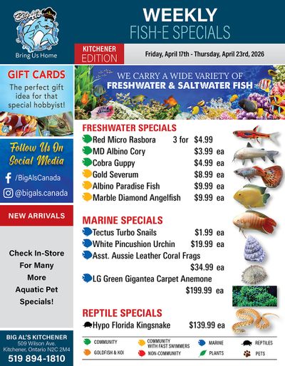 Big Al's (Kitchener) Weekly Specials April 17 to 23