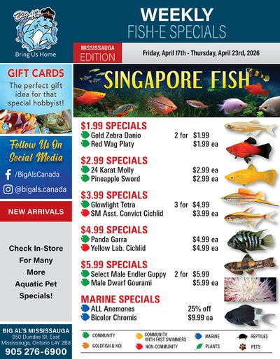 Big Al's (Mississauga) Weekly Specials April 17 to 23