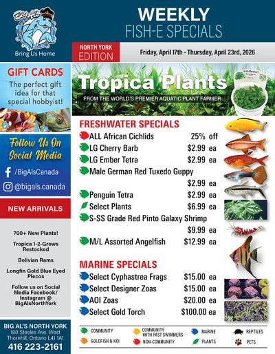 Big Al's (North York) Weekly Specials April 17 to 23