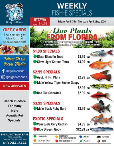 Big Al's (Ottawa) Weekly Specials April 17 to 23