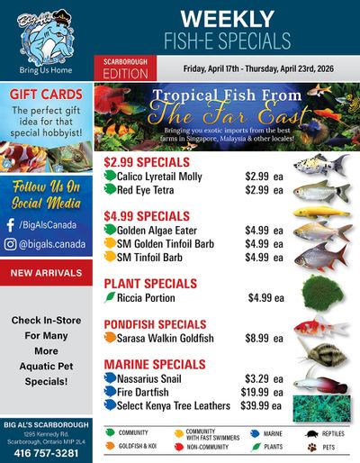 Big Al's (Scarborough) Weekly Specials April 17 to 23