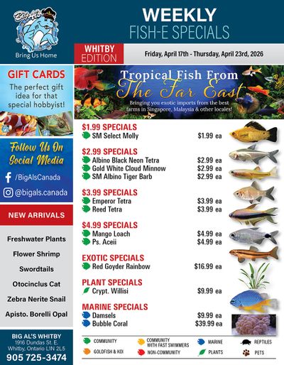 Big Al's (Whitby) Weekly Specials April 17 to 23