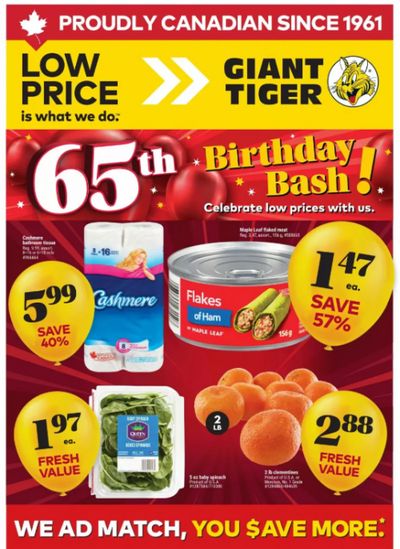 Giant Tiger Canada: 65th Birthday Bash Flyer Deals April 22nd – 28th