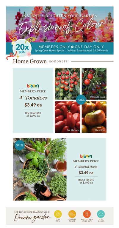 Lakeside Garden Gallery Flyer April 24 to 30