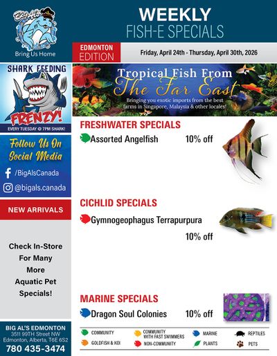 Big Al's (Edmonton) Weekly Specials April 24 to 30