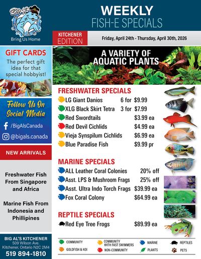 Big Al's (Kitchener) Weekly Specials April 24 to 30