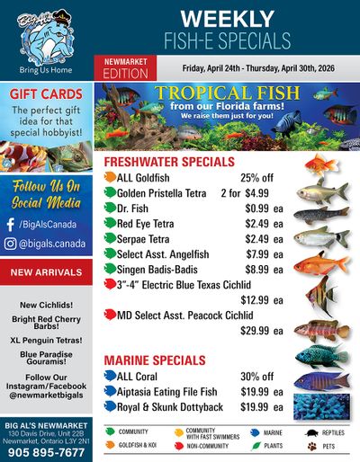 Big Al's (Newmarket) Weekly Specials April 24 to 30