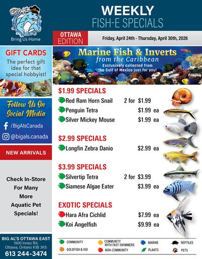 Big Al's (Ottawa) Weekly Specials April 24 to 30