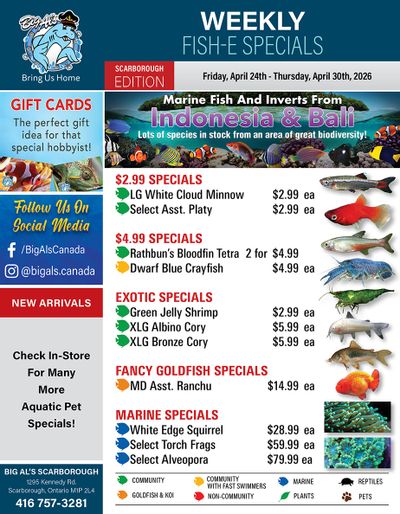 Big Al's (Scarborough) Weekly Specials April 24 to 30