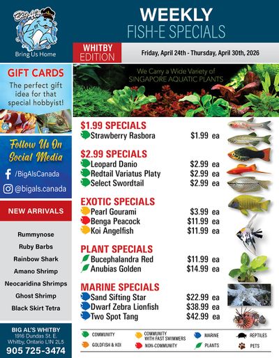 Big Al's (Whitby) Weekly Specials April 24 to 30