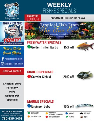 Big Al's (Edmonton) Weekly Specials May 1 to 7