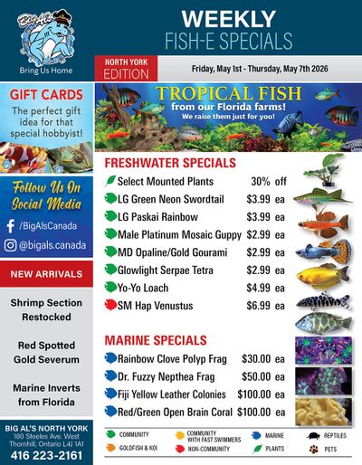 Big Al's (North York) Weekly Specials May 1 to 7