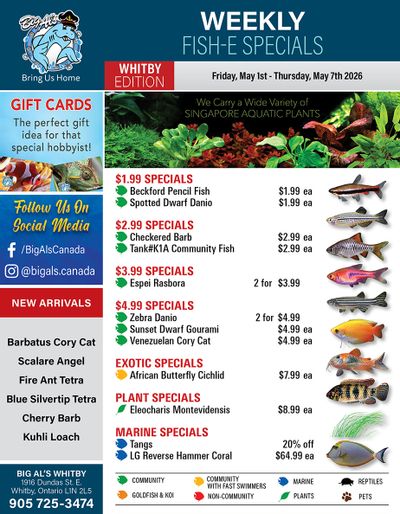Big Al's (Whitby) Weekly Specials May 1 to 7