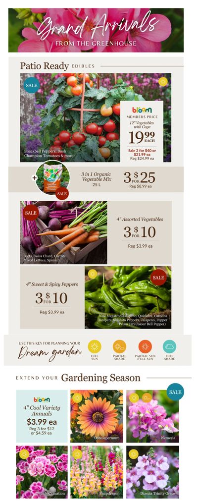 Lakeside Garden Gallery Flyer May 1 to 7