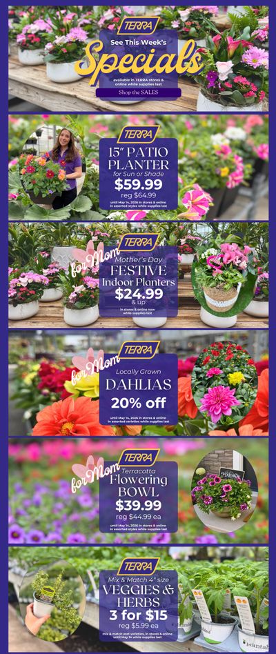 Terra Greenhouses Flyer May 8 to 14