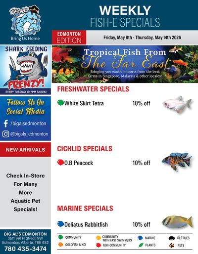 Big Al's (Edmonton) Weekly Specials May 8 to 14