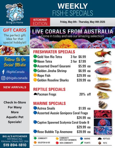 Big Al's (Kitchener) Weekly Specials May 8 to 14