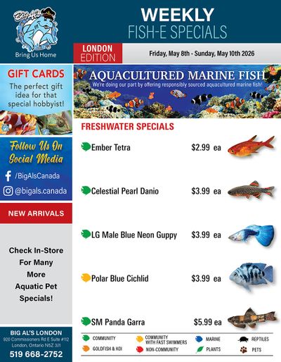 Big Al's (London) Weekend Specials May 8 to 10