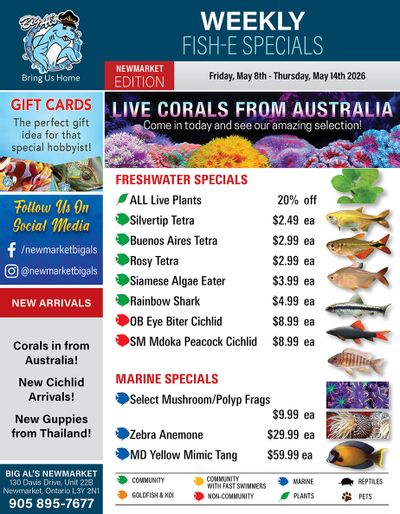 Big Al's (Newmarket) Weekly Specials May 8 to 14