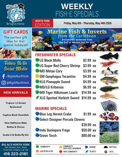 Big Al's (North York) Weekly Specials May 8 to 14