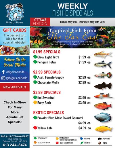 Big Al's (Ottawa) Weekly Specials May 8 to 14