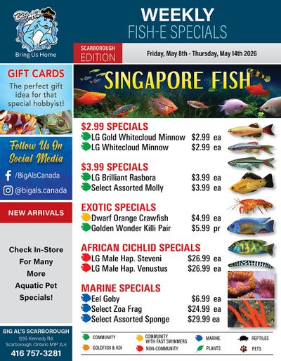 Big Al's (Scarborough) Weekly Specials May 8 to 14