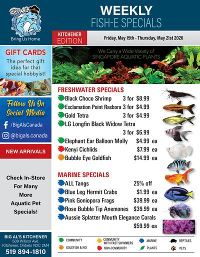 Big Al's (Kitchener) Weekly Specials May 15 to 21