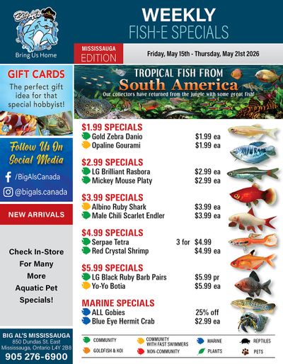 Big Al's (Mississauga) Weekly Specials May 15 to 21