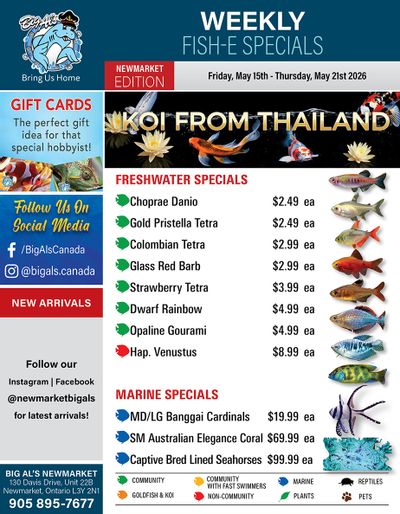 Big Al's (Newmarket) Weekly Specials May 15 to 21