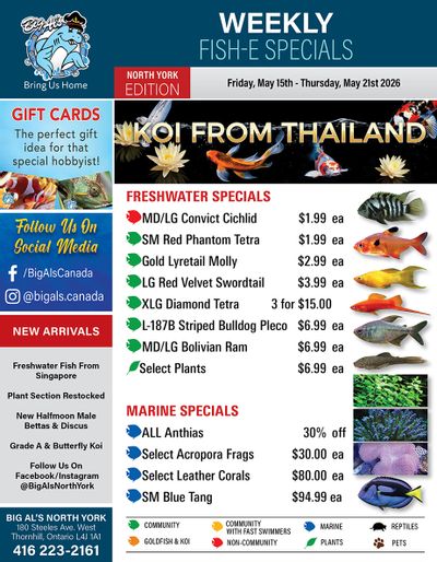 Big Al's (North York) Weekly Specials May 15 to 21