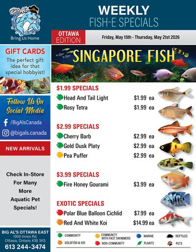 Big Al's (Ottawa) Weekly Specials May 15 to 21