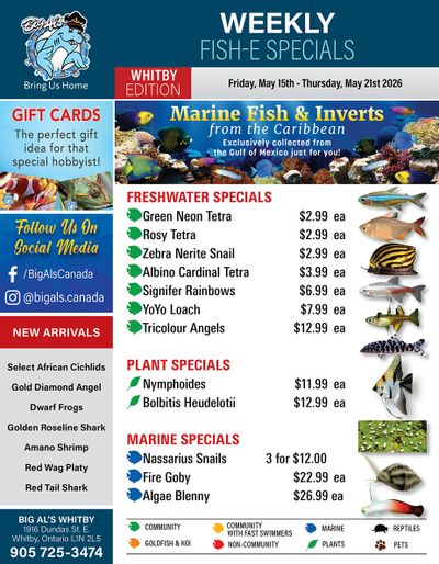 Big Al's (Whitby) Weekly Specials May 15 to 21