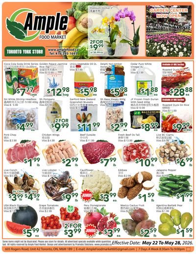 Ample Food Market (North York) Flyer May 22 to 28