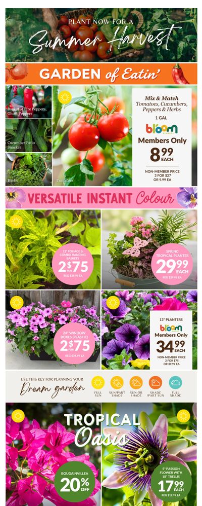 Lakeside Garden Gallery Flyer May 22 to 28