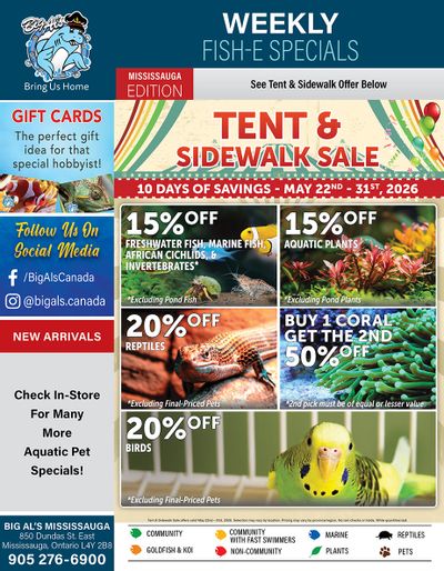 Big Al's (Mississauga) Weekly Specials May 22 to 31