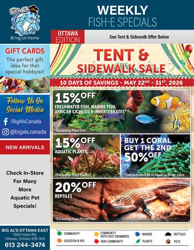 Big Al's (Ottawa) Weekly Specials May 22 to 31