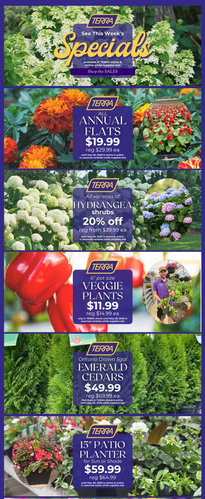 Terra Greenhouses Flyer May 22 to 28
