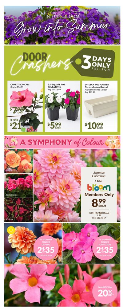 Lakeside Garden Gallery Flyer June 5 to 11