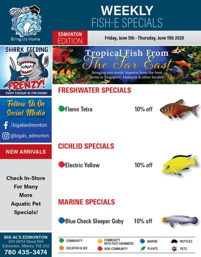 Big Al's (Edmonton) Weekly Specials June 5 to 11