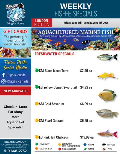 Big Al's (London) Weekend Specials June 5 to 7