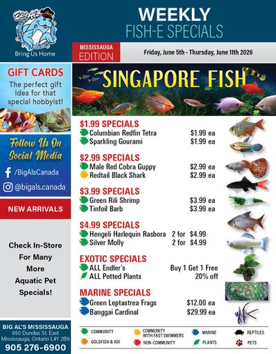 Big Al's (Mississauga) Weekly Specials June 5 to 11