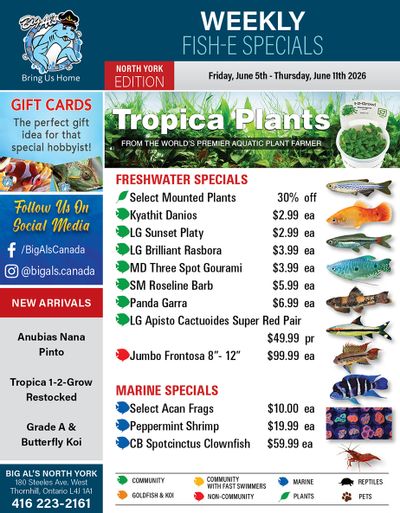 Big Al's (North York) Weekly Specials June 5 to 11