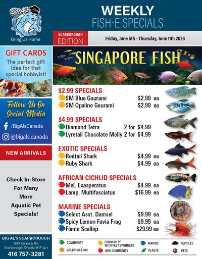 Big Al's (Scarborough) Weekly Specials June 5 to 11
