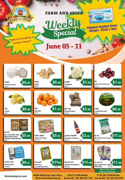 Farm And Spice Grocers Flyer June 5 to 11