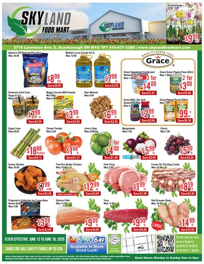 Skyland Food Mart Flyer June 12 to 18