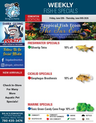 Big Al's (Edmonton) Weekly Specials June 12 to 18