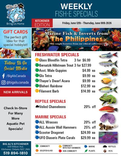 Big Al's (Kitchener) Weekly Specials June 12 to 18