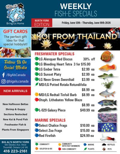 Big Al's (North York) Weekly Specials June 12 to 18