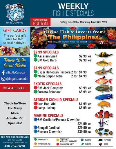 Big Al's (Scarborough) Weekly Specials June 12 to 18
