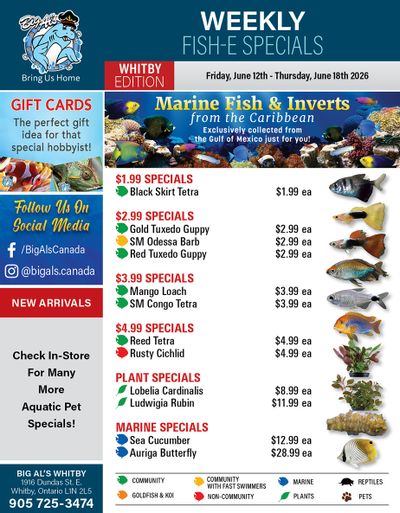 Big Al's (Whitby) Weekly Specials June 12 to 18